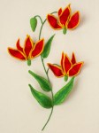 Flame Lily by Cindy Powell